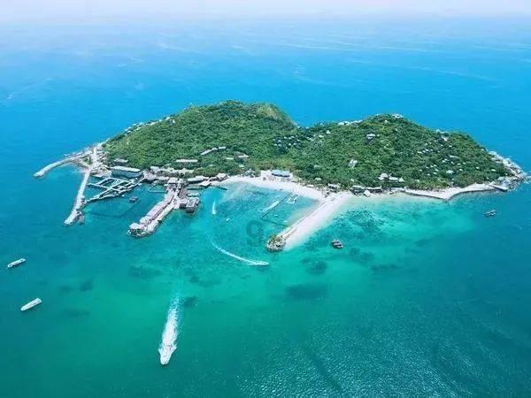 失忆的流浪者
