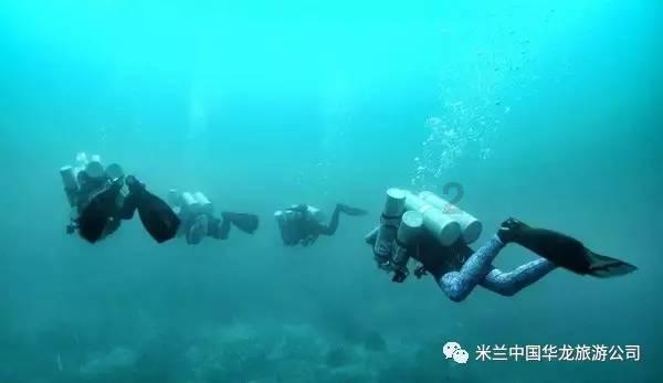 网络公司逃脱