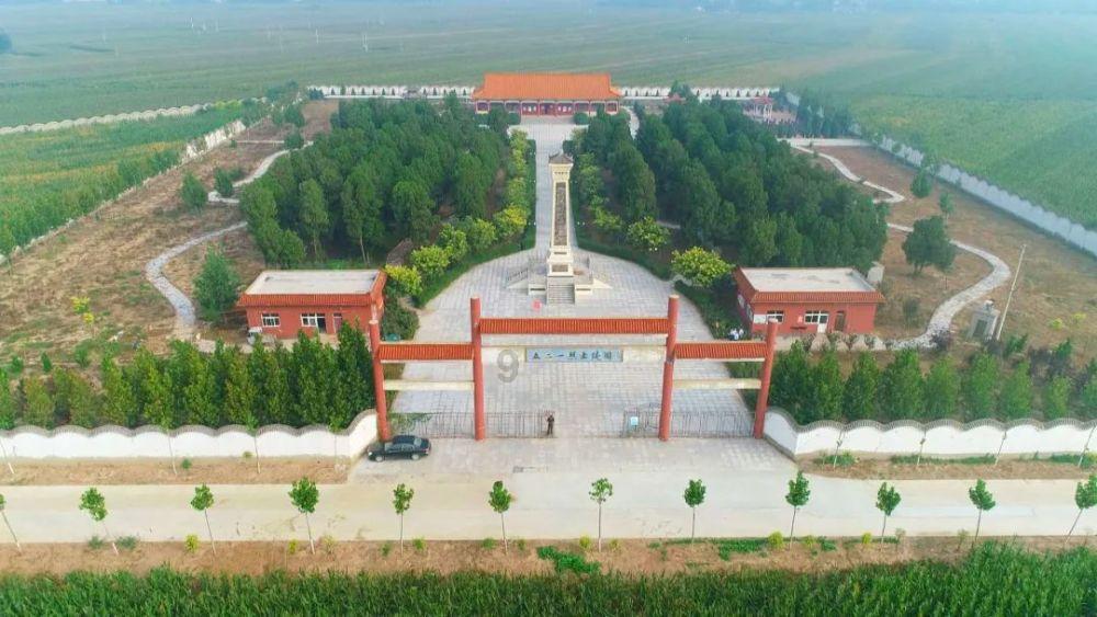 细胞分裂6