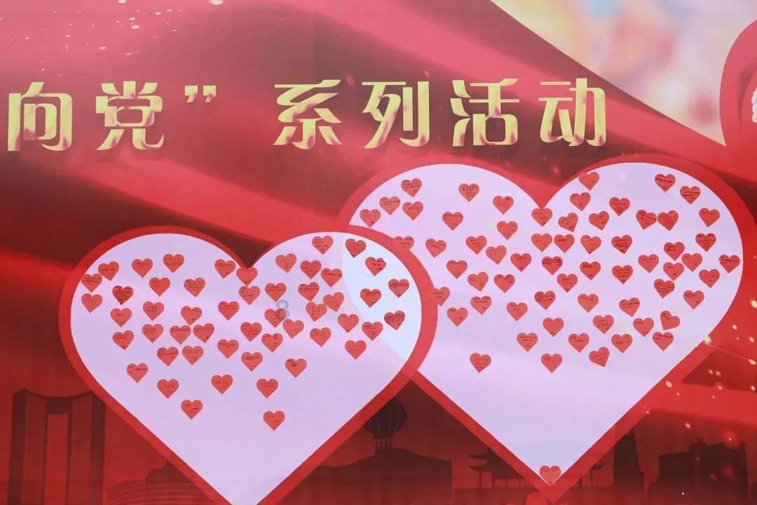 饥饿的松鼠救援