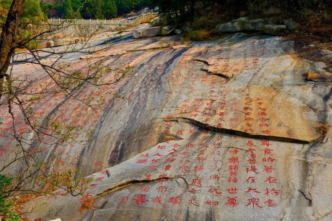 驱逐城堡入侵者选关版